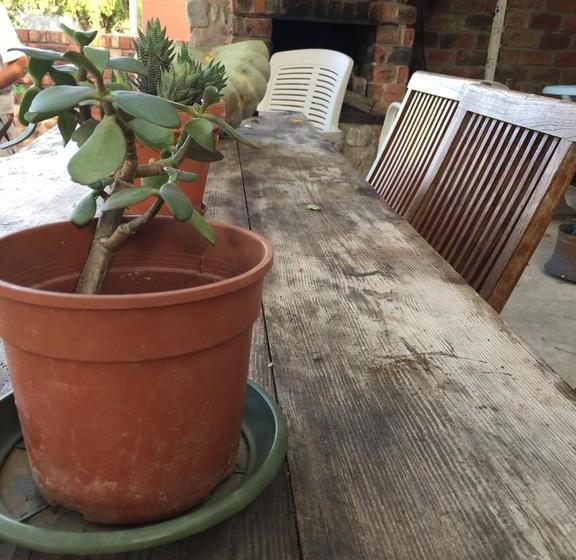 Hostel 28 Towpath On The Riverfront 10