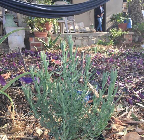 Hostel 28 Towpath On The Riverfront 9