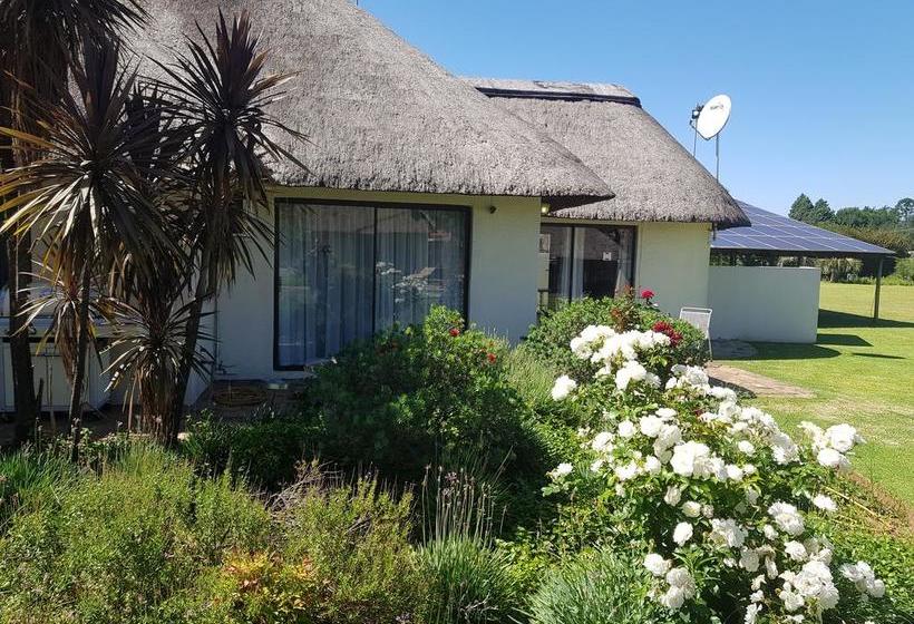 12 On Vaal Drive B & B 9