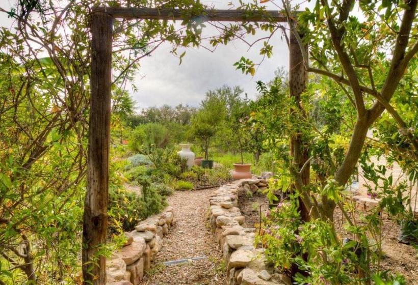 Bed and Breakfast Mai S Guest Lodge Western Cape