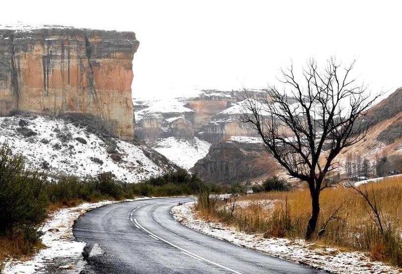 Rosewood Corner B&b 19