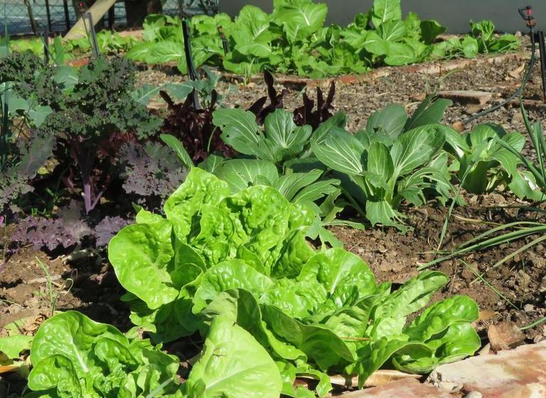 Bed and Breakfast The Secret Garden 17