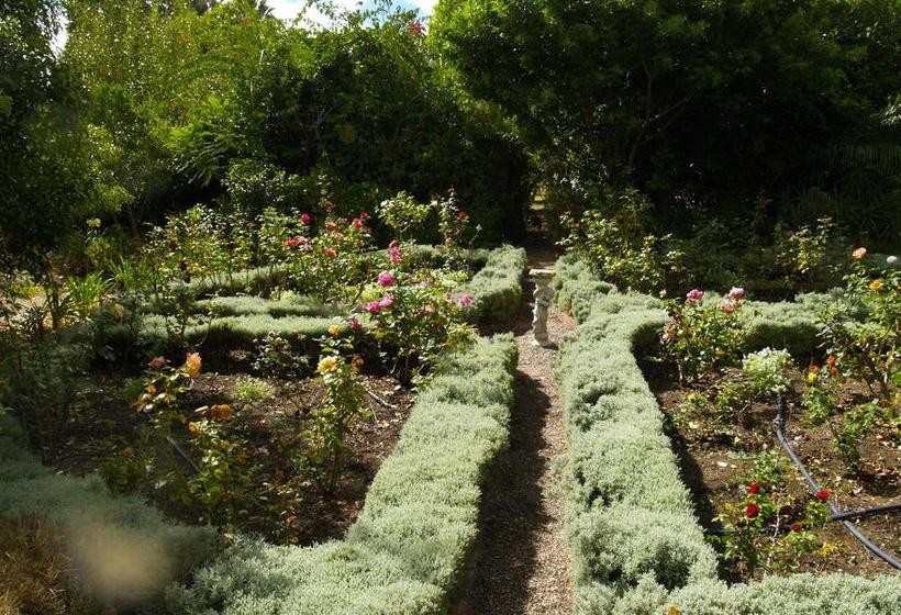 Bed and Breakfast The Secret Garden 18