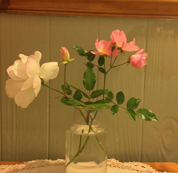 Bed and Breakfast The Secret Garden 4