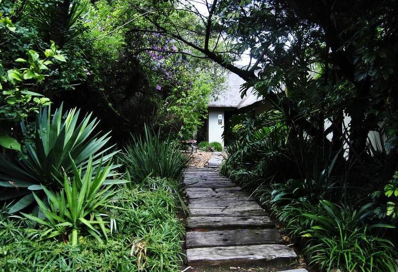 Bed and Breakfast Birch Tree Cottage Johannesburgo Gauteng