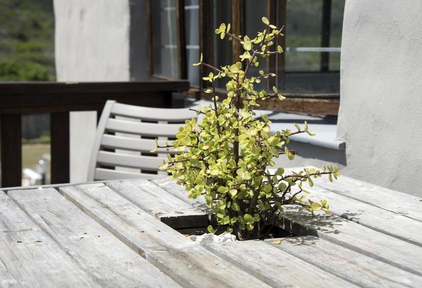 Hostel Afrovibe Beach House 2