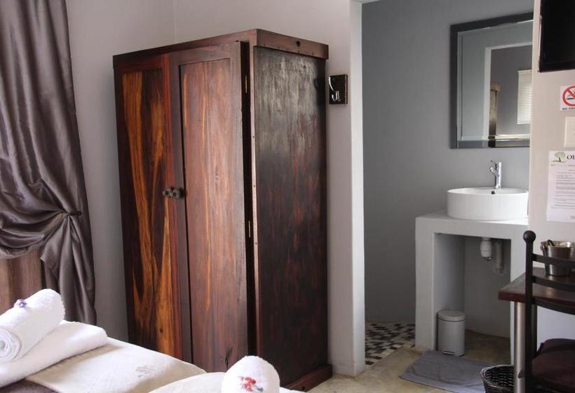 Olive Tree B&b Northern Cape