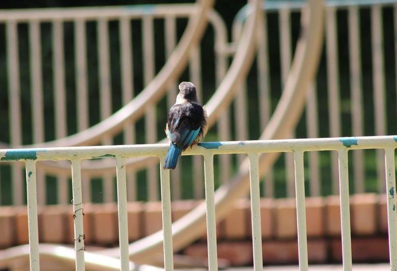 Bed and Breakfast Royal Sheba Guest House 15