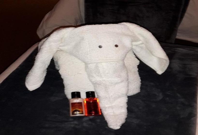 Bed and Breakfast Royal Sheba Guest House 4