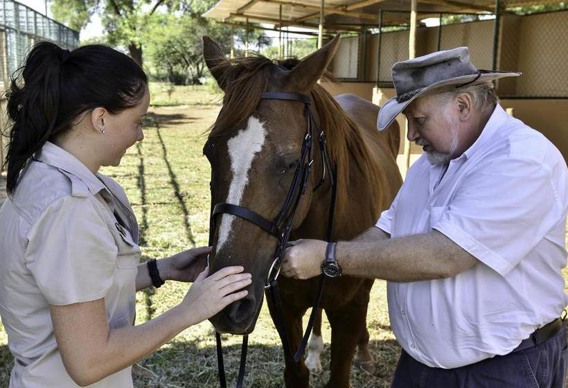 The Carousel Hotel & Acacia Place 10