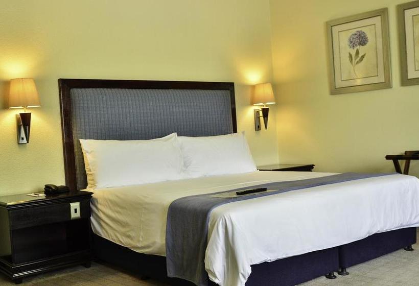 The Carousel Hotel & Acacia Place 5