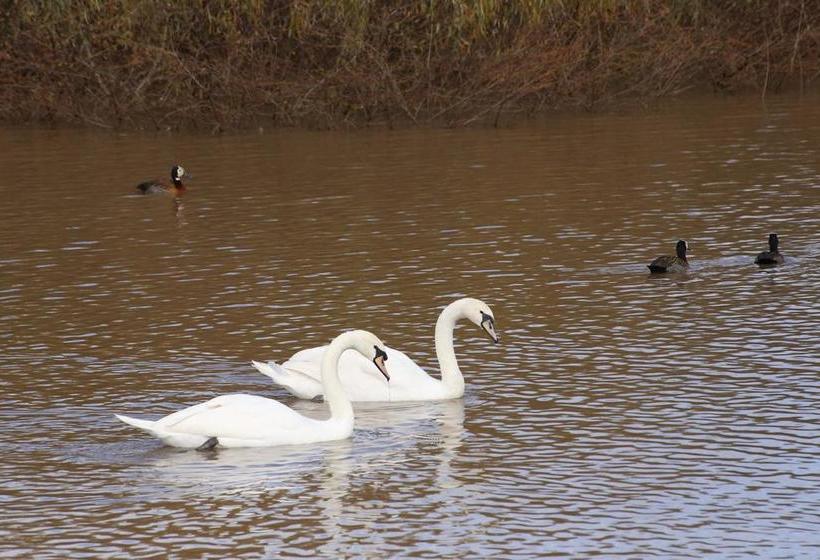 Bed and Breakfast La Riviera Guesthouse 13