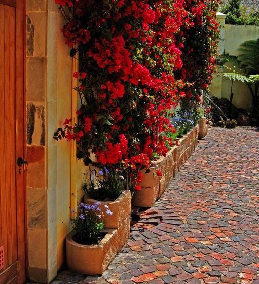 Bed and Breakfast Gästehaus Pinkepank 4