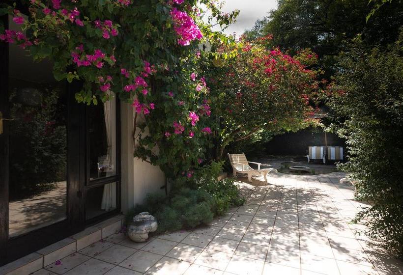 Bed and Breakfast The Mustardseed Guest House 1