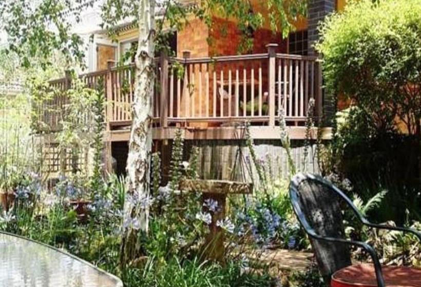 Auberge Hôtelière The Birches Backpacker Lodge 6