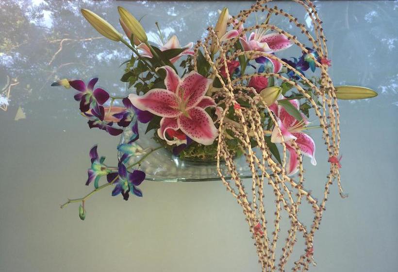 Bed and Breakfast On The Summit Lodge 11