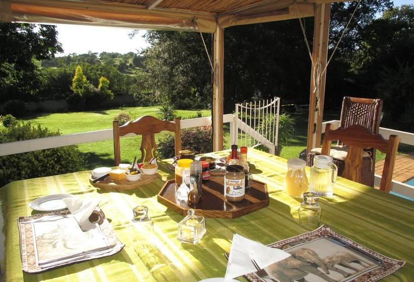 Bed and Breakfast Meander In 7