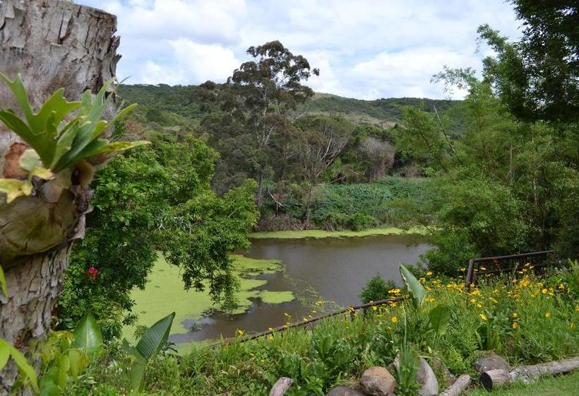 Bed and Breakfast Fish Eagle Manor 15