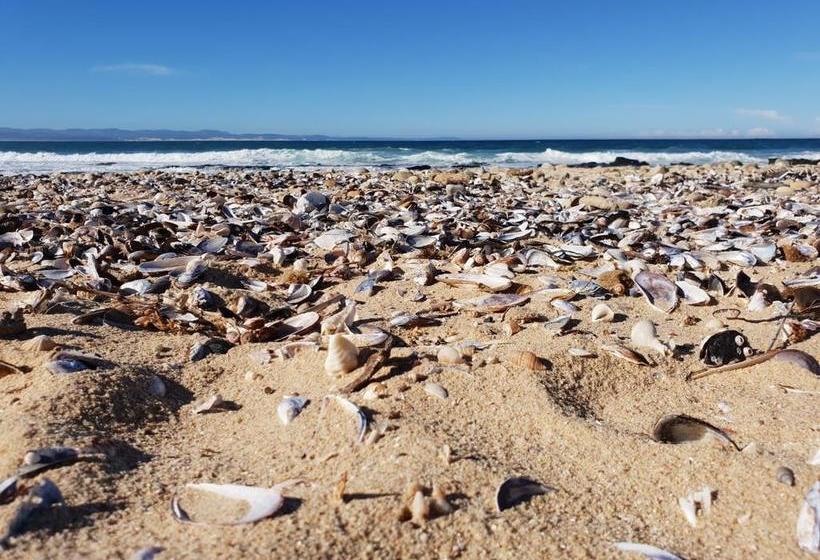 Bed and Breakfast Dolphin Sunrise