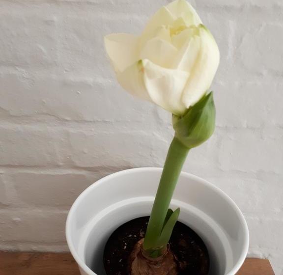 Bed and Breakfast Le Roux S Guest House 5