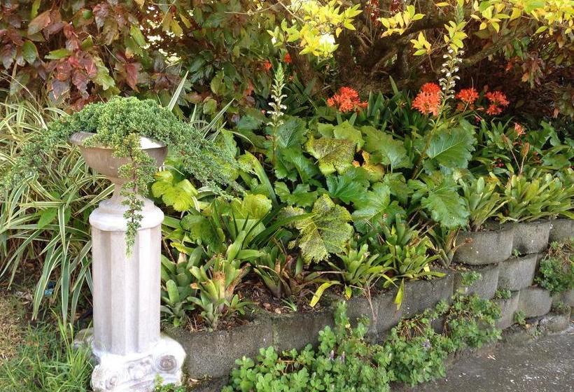 Bed and Breakfast Thesolution Bnb 5