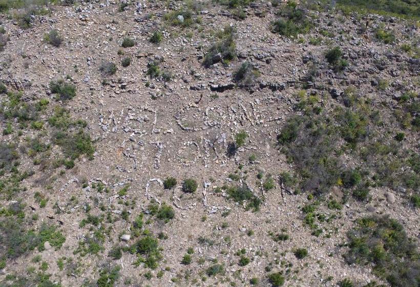 Bed and Breakfast Stone Crescent 8