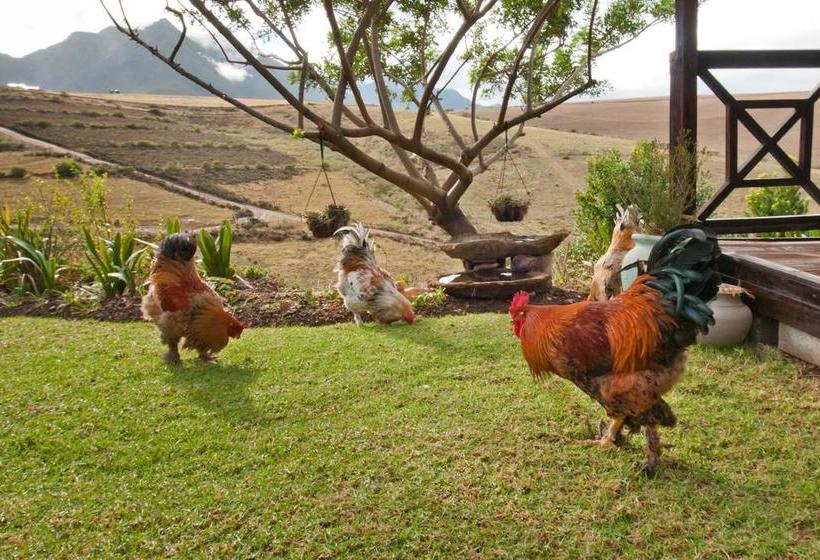 Bed and Breakfast Vrede Vallei 13