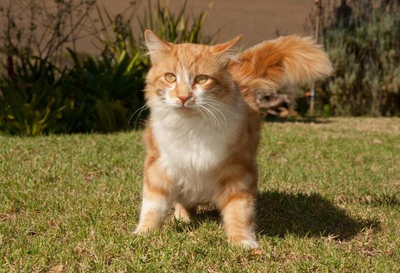 Bed and Breakfast Vrede Vallei 4