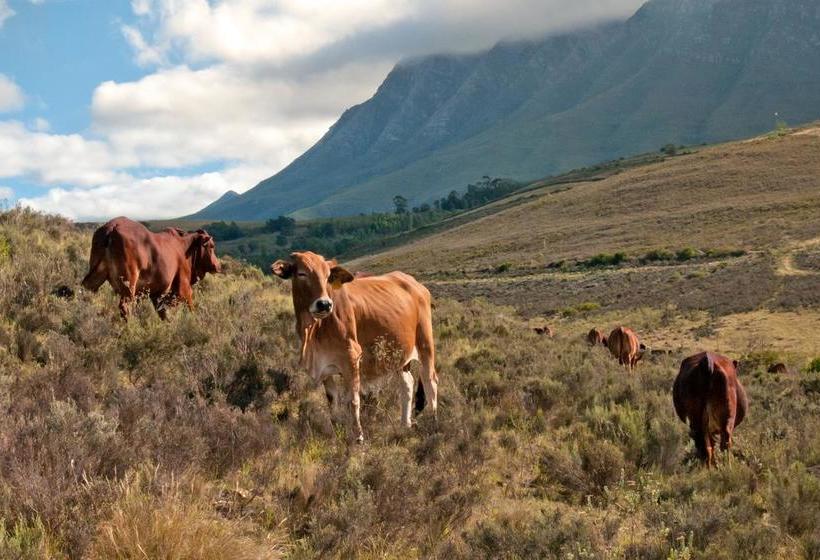 Bed and Breakfast Vrede Vallei 5