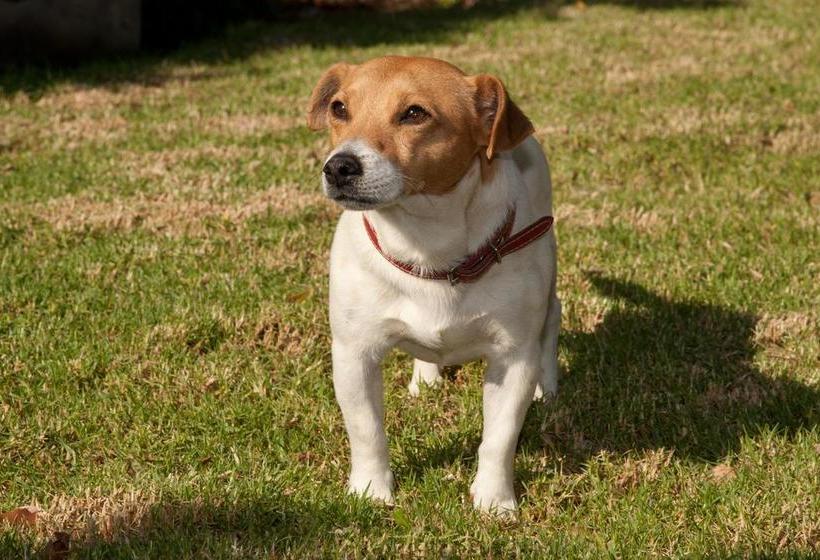 Bed and Breakfast Vrede Vallei 7