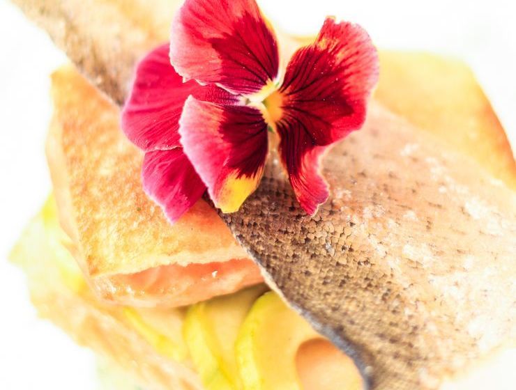 Hotel Budmarsh Private Lodge 19