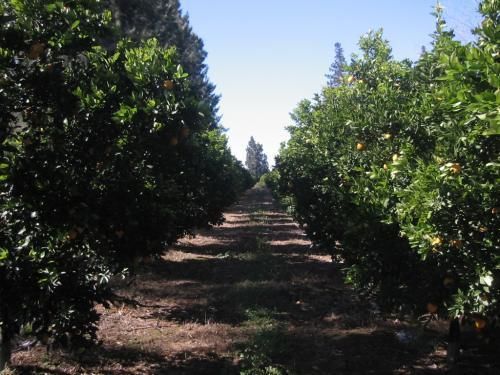 Happy Lands Self Catering And B&b 3