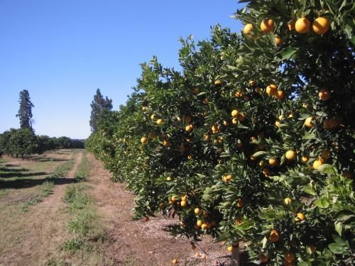 Happy Lands Self Catering And B&b 6