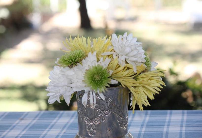 Bed and Breakfast Ashbourne Hazyview 6