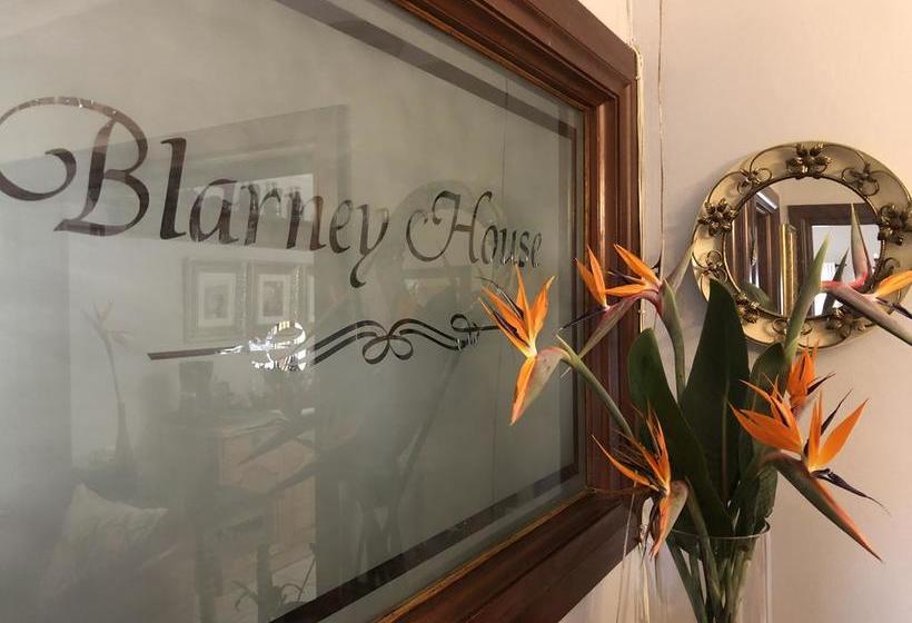 Blarney House B&b 2