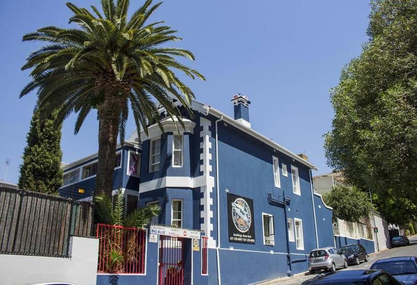 Hostel Big Blue Backpackers