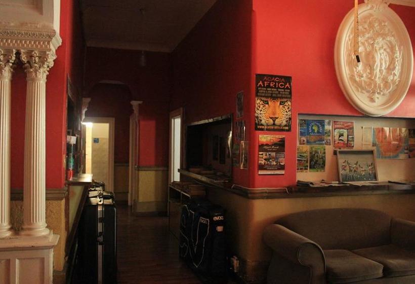 Hostel Big Blue Backpackers 10