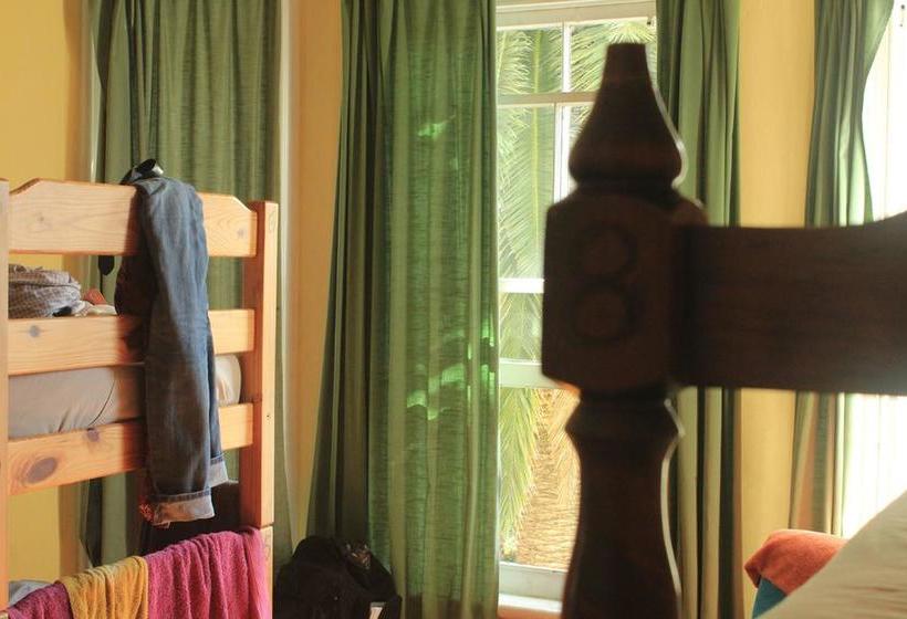 Hostel Big Blue Backpackers 12