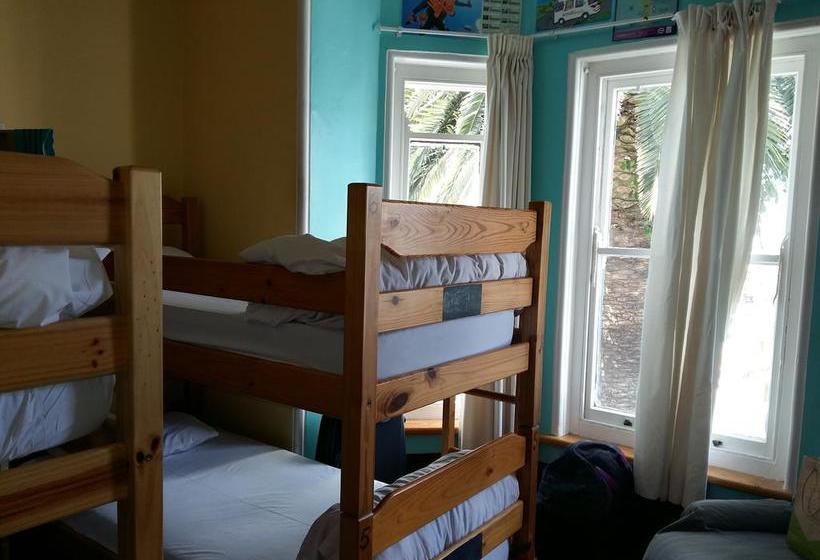 Hostel Big Blue Backpackers 4