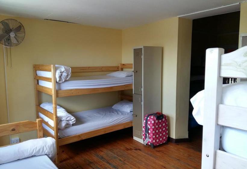 Hostel Big Blue Backpackers 5