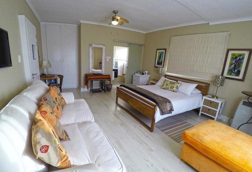 Bed and Breakfast Dolphin Inn Guesthouse 3