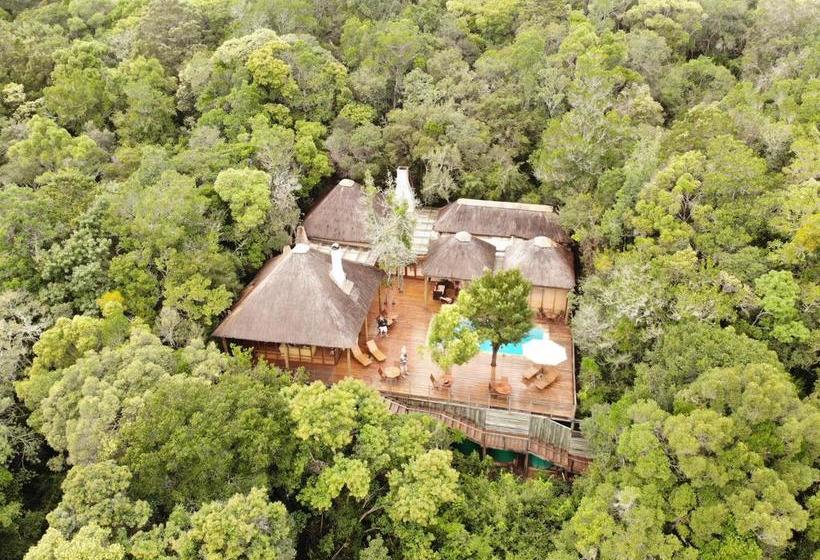 Bed and Breakfast Trogon House And Forest Spa Western Cape