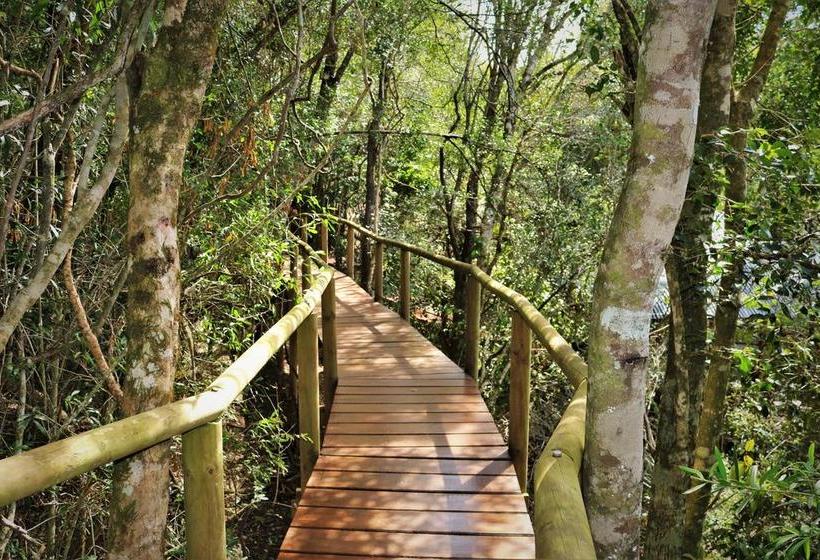 Bed and Breakfast Trogon House And Forest Spa 1