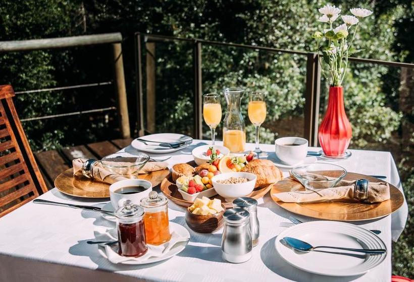 Bed and Breakfast Trogon House And Forest Spa 11