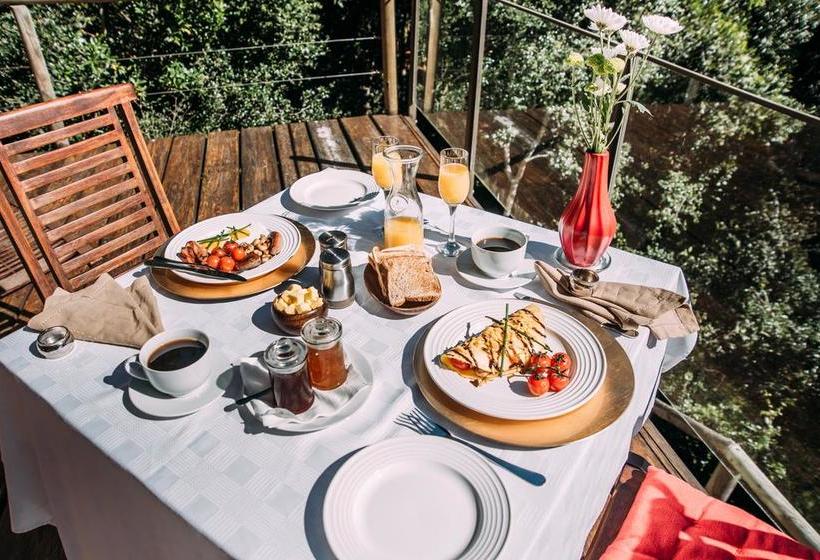 Bed and Breakfast Trogon House And Forest Spa 9