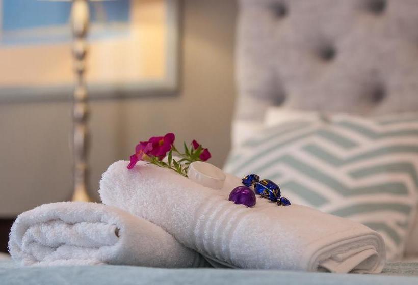 Bed and Breakfast 17 On 5th Avenue Walmer Guesthouse 14