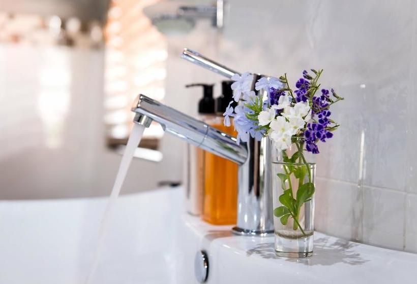 Bed and Breakfast 17 On 5th Avenue Walmer Guesthouse 6