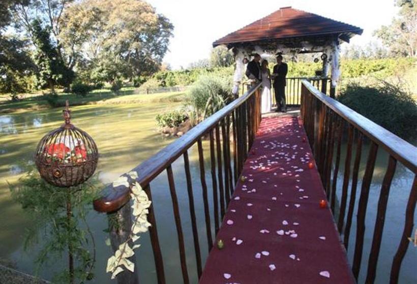 Bed and Breakfast Casa Mia Health Spa And Guesthouse 13