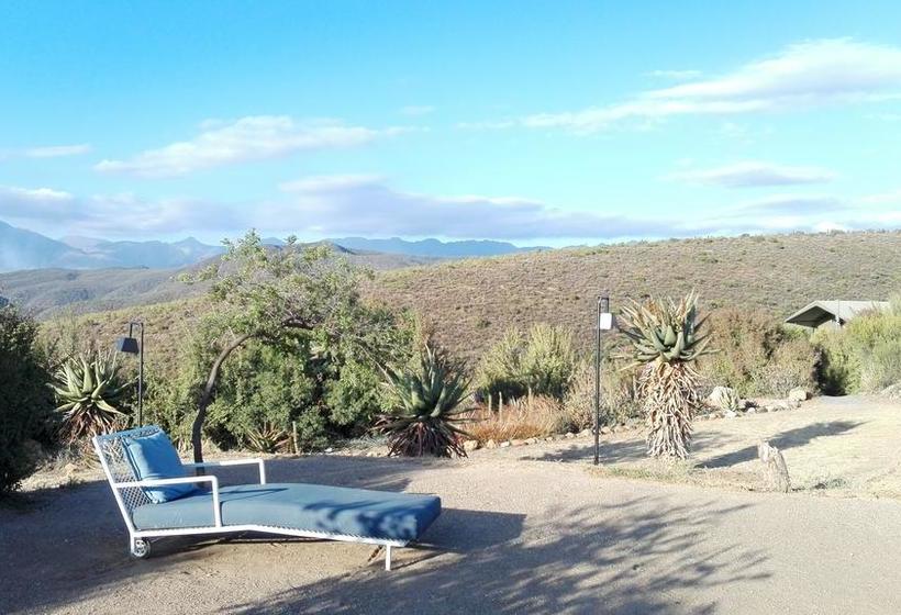 Bed and Breakfast Le Petit Karoo Ranch 10