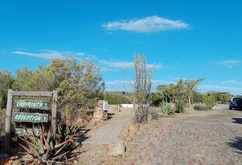 Bed and Breakfast Le Petit Karoo Ranch 9
